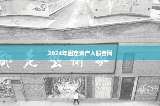 2024年固定资产入股合同