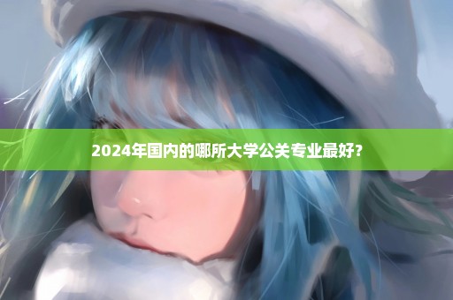 2024年国内的哪所大学公关专业最好？