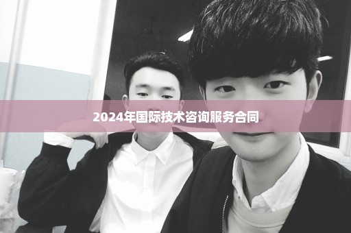 2024年国际技术咨询服务合同