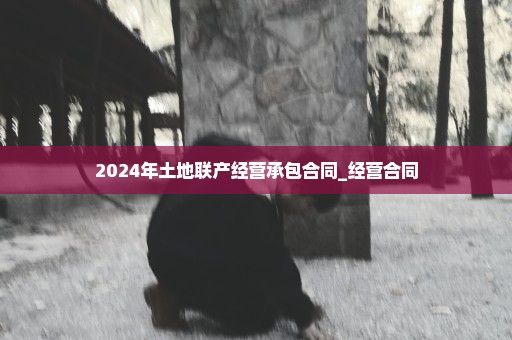 2024年土地联产经营承包合同_经营合同