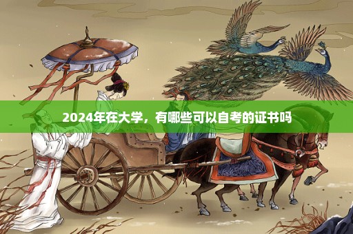 2024年在大学，有哪些可以自考的证书吗