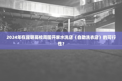 2024年在昆明高校周围开家水洗店（自助洗衣店）的可行性？