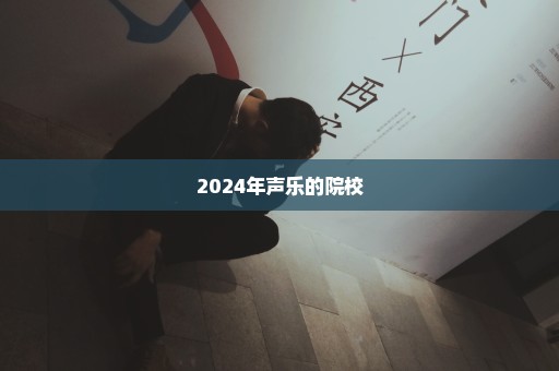 2024年声乐的院校