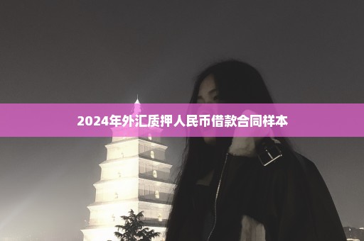 2024年外汇质押人民币借款合同样本