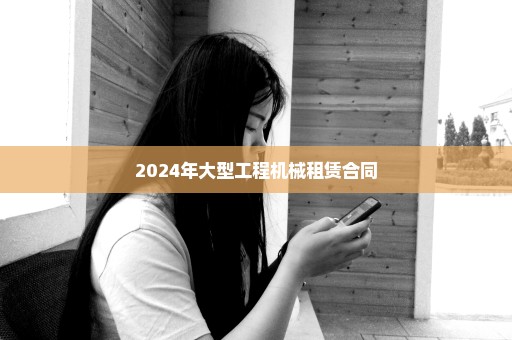 2024年大型工程机械租赁合同