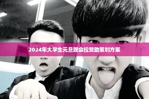 2024年大学生元旦晚会拉赞助策划方案