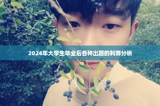 2024年大学生毕业后各种出路的利弊分析