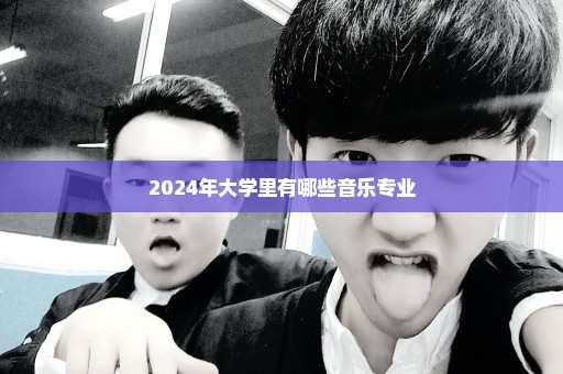 2024年大学里有哪些音乐专业