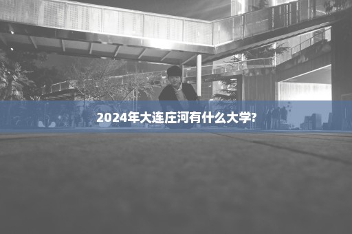 2024年大连庄河有什么大学?