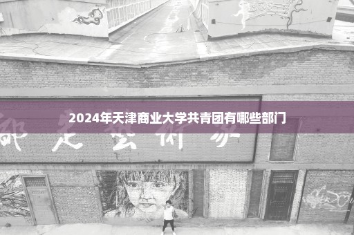 2024年天津商业大学共青团有哪些部门