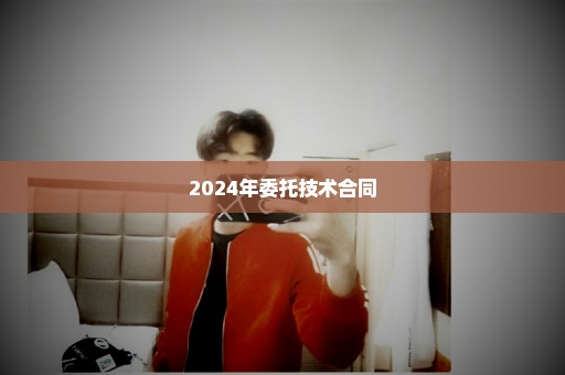 2024年委托技术合同