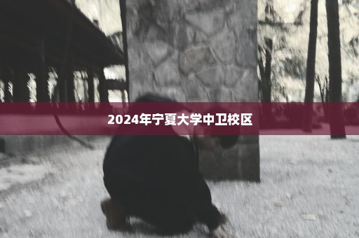 2024年宁夏大学中卫校区