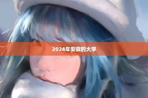 2024年安徽的大学