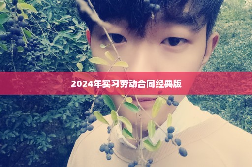 2024年实习劳动合同经典版