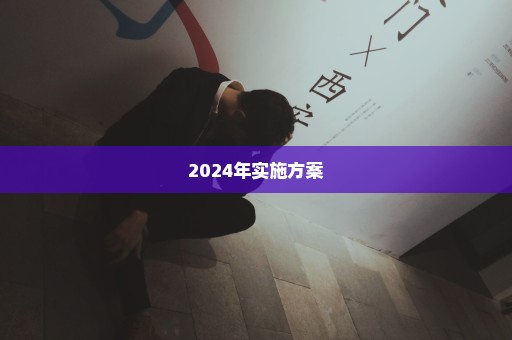 2024年实施方案