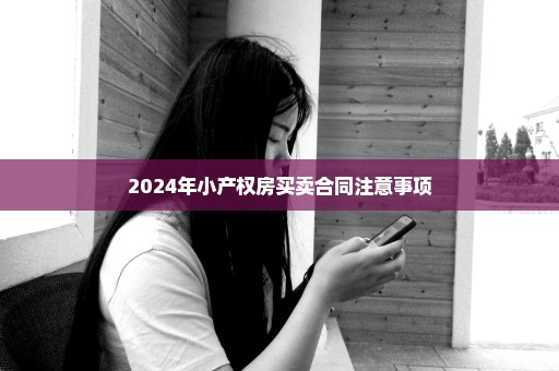 2024年小产权房买卖合同注意事项