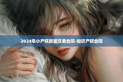 2024年小产权房屋交易合同-知识产权合同