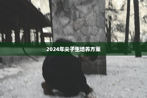 2024年尖子生培养方案