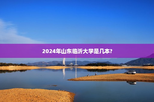 2024年山东临沂大学是几本?