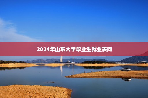 2024年山东大学毕业生就业去向