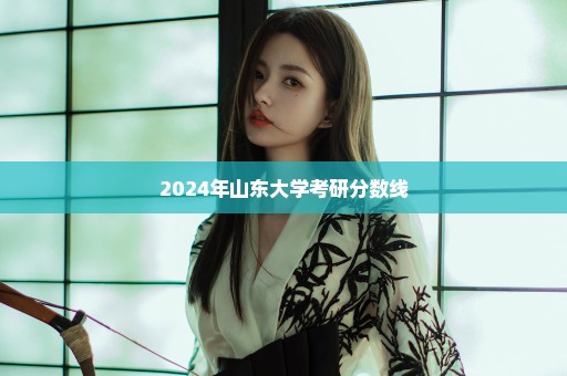 2024年山东大学考研分数线