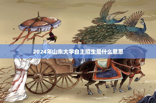 2024年山东大学自主招生是什么意思