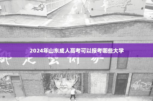 2024年山东成人高考可以报考哪些大学