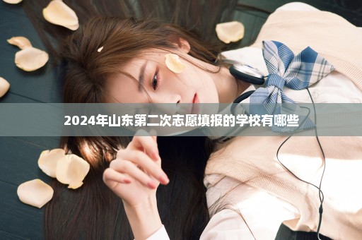 2024年山东第二次志愿填报的学校有哪些