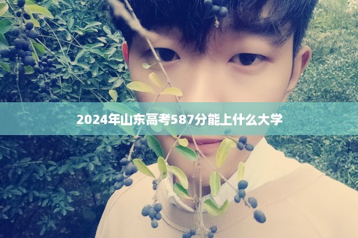 2024年山东高考587分能上什么大学