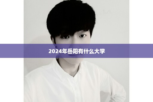 2024年岳阳有什么大学