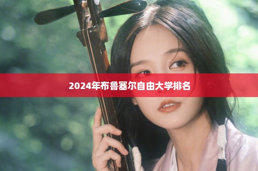 2024年布鲁塞尔自由大学排名