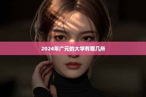 2024年广元的大学有哪几所