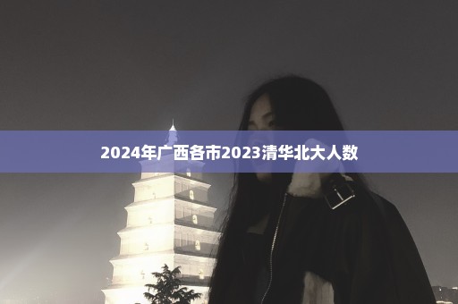 2024年广西各市2023清华北大人数