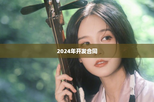 2024年开发合同