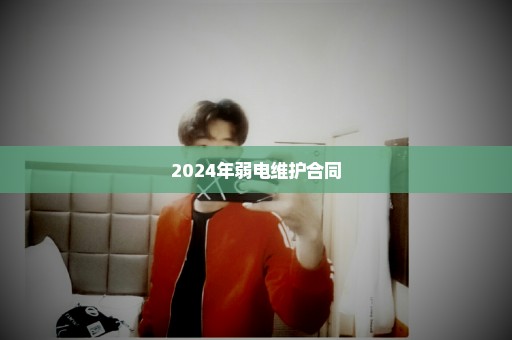 2024年弱电维护合同