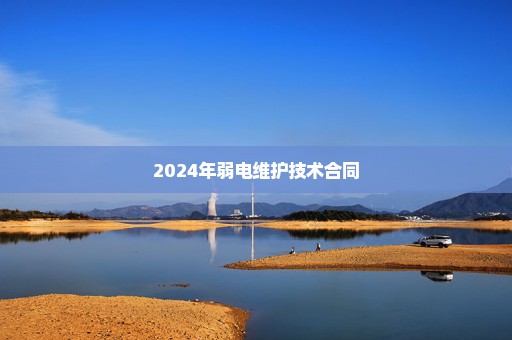 2024年弱电维护技术合同