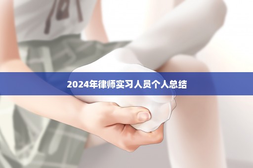 2024年律师实习人员个人总结