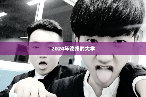 2024年德州的大学