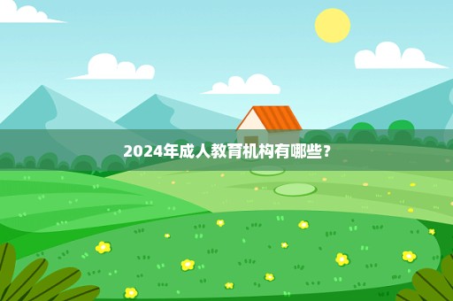 2024年成人教育机构有哪些？