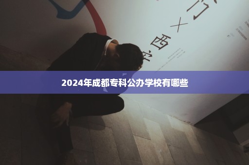 2024年成都专科公办学校有哪些