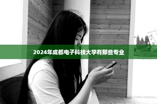 2024年成都电子科技大学有那些专业