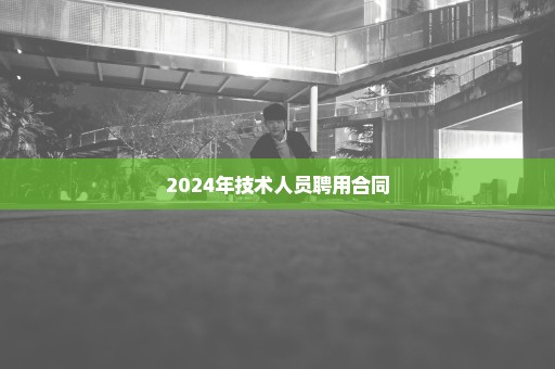 2024年技术人员聘用合同