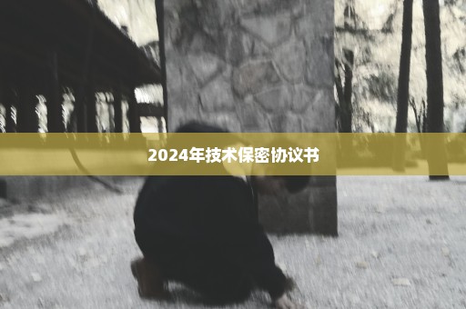 2024年技术保密协议书