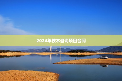 2024年技术咨询项目合同