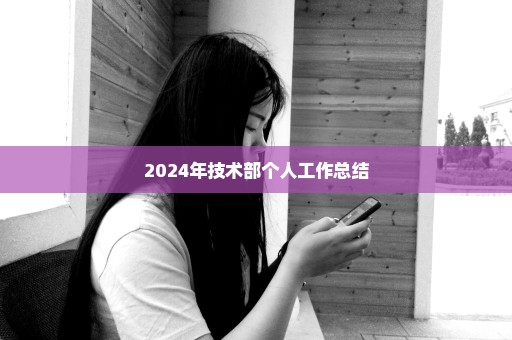 2024年技术部个人工作总结