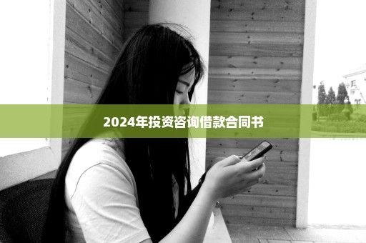 2024年投资咨询借款合同书