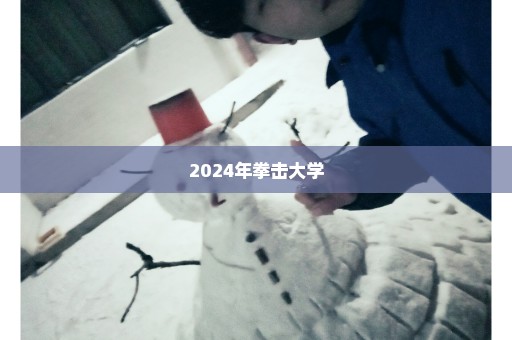 2024年拳击大学