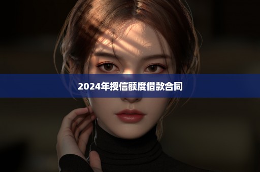 2024年授信额度借款合同