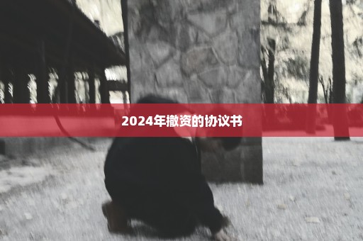 2024年撤资的协议书