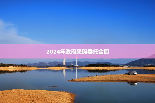 2024年政府采购委托合同